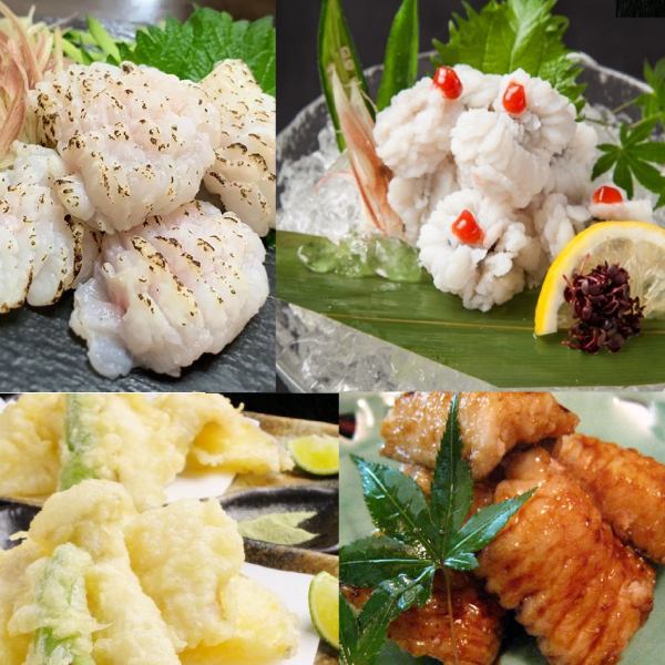 期間限定　《金鱧》コース