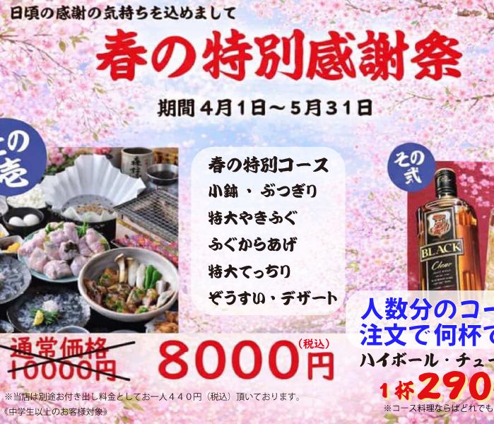 春季感恩節特餐