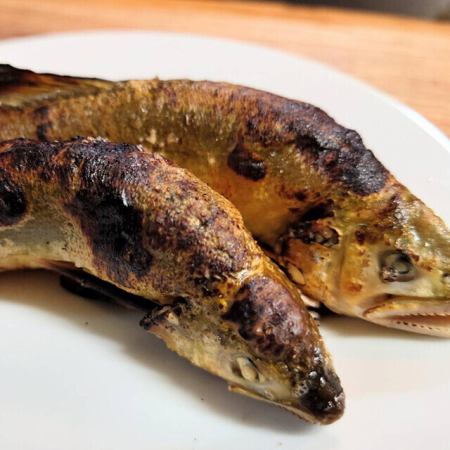 鮎の塩焼き