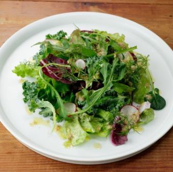 羽衣甘藍和香草沙拉