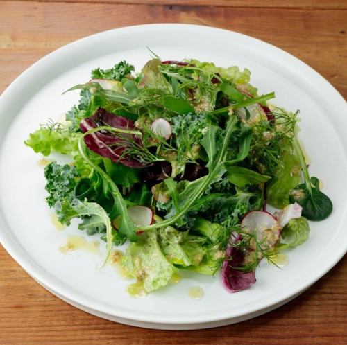 羽衣甘藍和香草沙拉