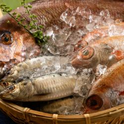 ◆魚海艦隊的魚和生魚片為什麼這麼好吃？