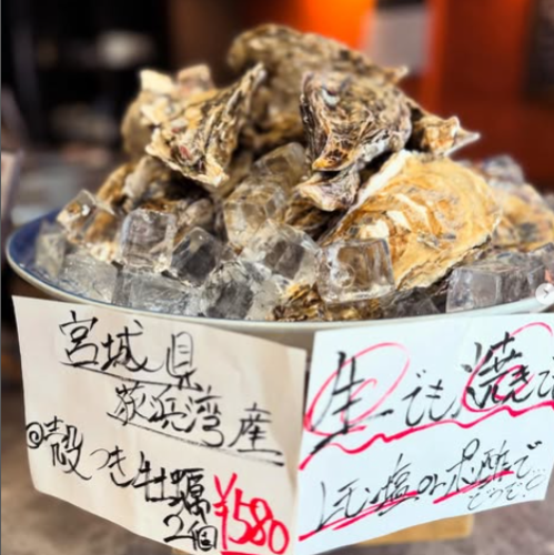 新鮮な魚介の饗宴！旬のお造り盛り合わせと生牡蠣