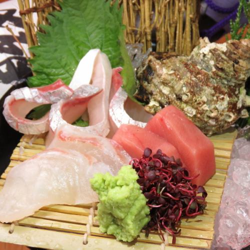 【当日当季海鲜料理】每天严选当季鲜鱼。享受与清酒的邂逅吧！