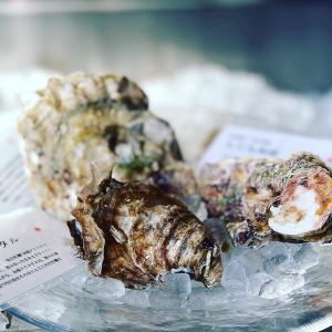 Various seasonal raw oysters