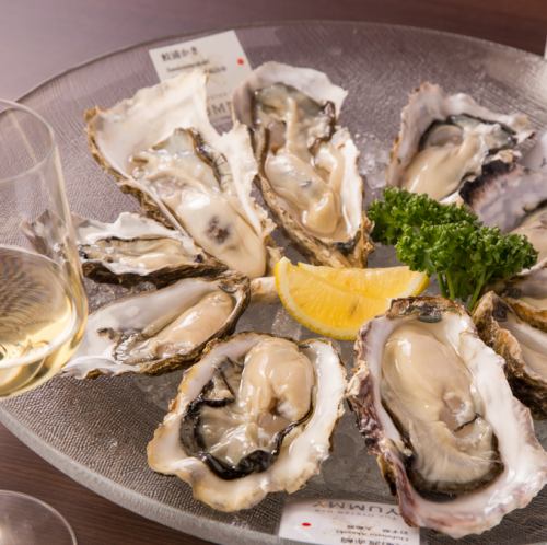 Every Tuesday is Oyster Day - Raw oysters are 350 yen all day (dinner time only)