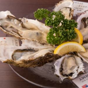 The 23rd of every month is YUMMY's all-you-can-eat oysters day (dinner time only)