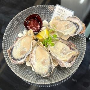 Various types of fresh oysters