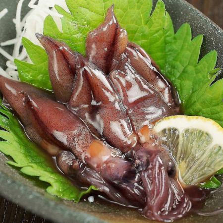 Pickled squid of hotflies
