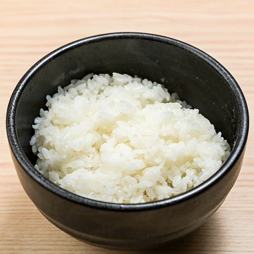 Rice (small)/(regular)/(large)