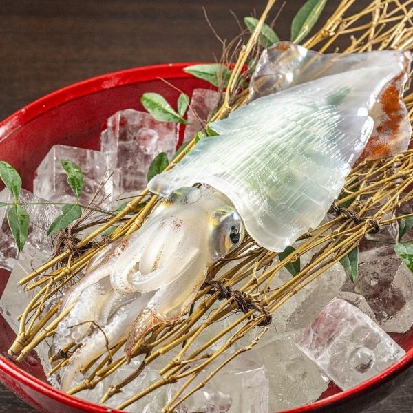 [Fresh fish/Creative Japanese food] Enjoy the amazing melt-in-your-mouth taste