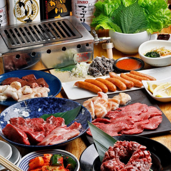 料理のみ！名物どでかハラミがメイン！人気のお肉を満喫『4000円ポッキリコース』全11品