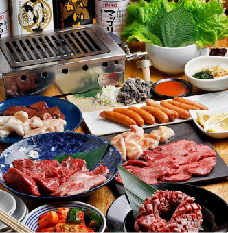 料理のみ!名物どでかハラミがメイン!人気のお肉を満喫『4000円ポッキリコース』全11品