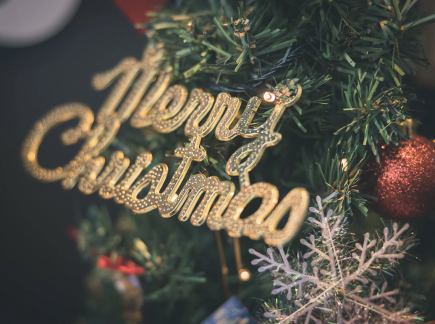 2025年圣诞节套餐,包含90分钟畅饮:4800日元(含税)