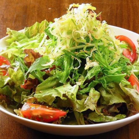 Mizuna Japanese style salad