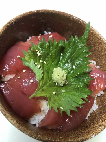 Pickled tuna rice bowl bento