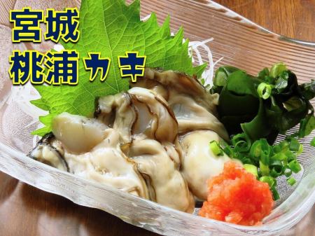 Momoura Oysters from Miyagi Prefecture