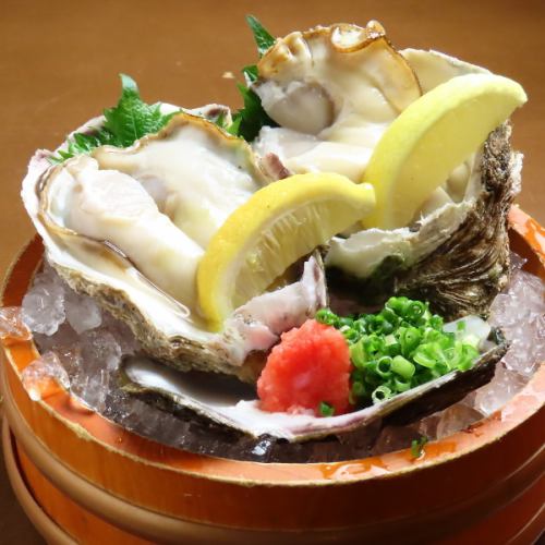 이시카와현산 천연암굴