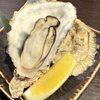 【海鮮も豊富】鶯は焼き鳥だけじゃない！