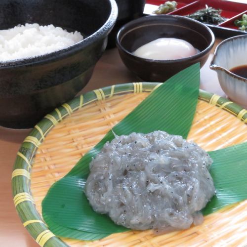 南知多町で獲れた生しらす丼