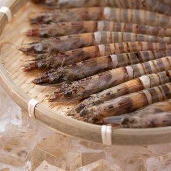 生牡蠣と車海老踊とお肉！ムゲンの春到来！コース＋2h飲み放題【料理6品＋甘味1】/5000円