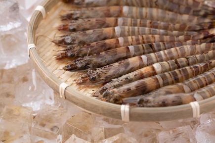 生蠔、舞蝦、還有肉！無限春日盛宴來吧！套餐+2小時暢飲【6道菜+1道甜點】/ 5000日圓