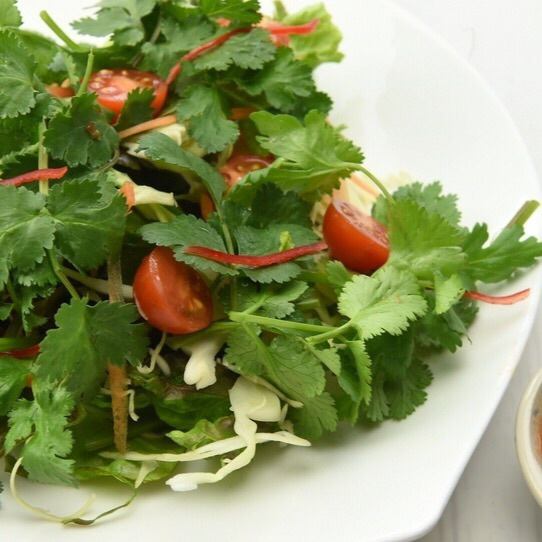 [Takeout is OK ♪] Recommended for cilantro lovers ♪ Cilantro (coriander salad)