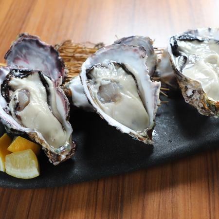 仙鳳趾産　牡蠣　Mサイズ