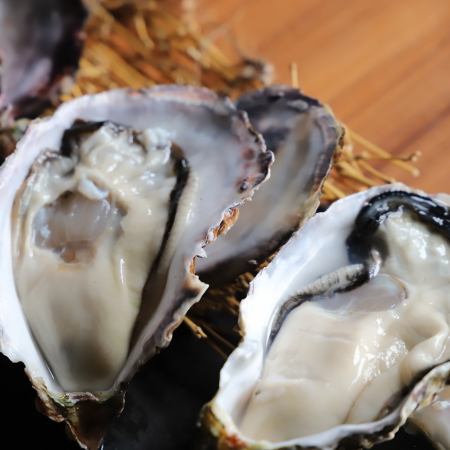 【プレミアムコース[鍋なし]】キンキ釜飯・海鮮料理メイン9品6000円→5000円