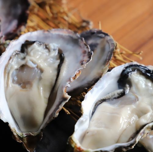 【プレミアムコース[鍋なし]】キンキ釜飯・海鮮料理メイン9品6000円→5000円