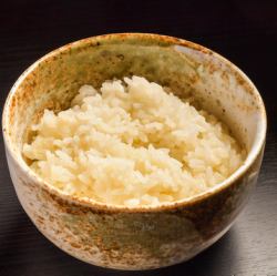 Iga rice (medium)