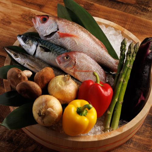 色鮮やか和食料理に舌鼓