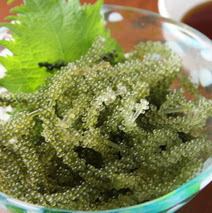 海ぶどう