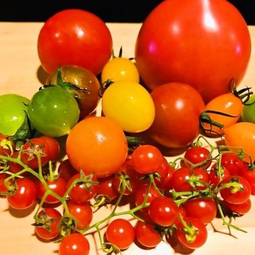 various tomato salads