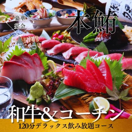 NEW!“花”【蓝鳍金枪鱼/科钦/和牛】2小时无限畅饮套餐(含啤酒)6000日元⇒5000日元!连老板都会喜欢的人气之选