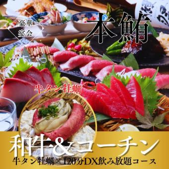 NEW！【本鮪/牛タン牡蠣/コーチン/和牛】2ｈビール付飲放コース6500円⇒5500円！贅沢宴会