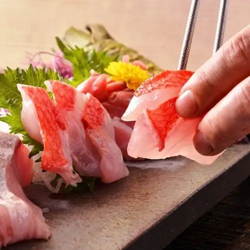 伊東港直送の朝獲れ鮮魚!