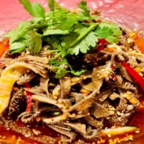 センマイのピリ辛前菜/紅油毛肚