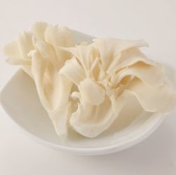 극도의 흰 버섯