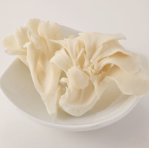 극도의 흰 버섯