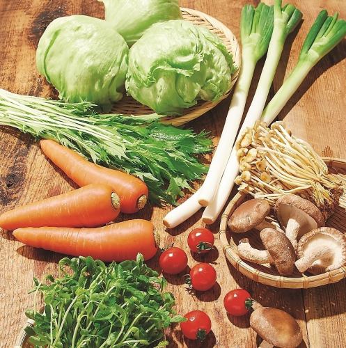 샤브샤브에 맞는 국산 야채