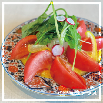 Kurihara Farm's tomato and baby beef salad - [Homemade] Miyagi Prefecture apple dressing -