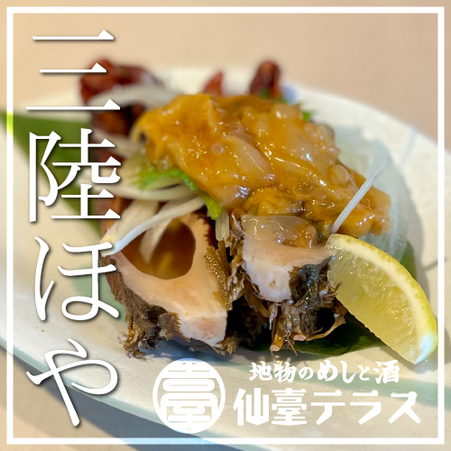 Ogatsu sea squirt sashimi