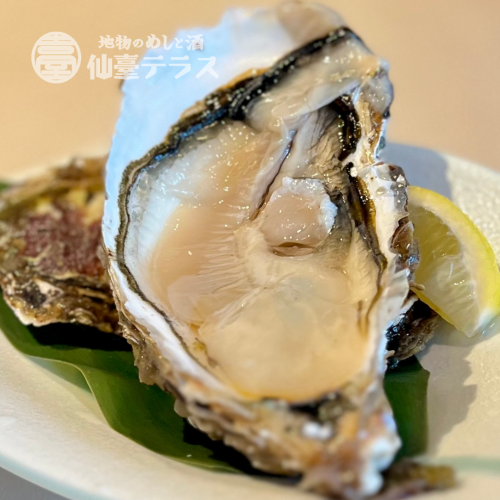 雄勝産生カキ(1個)