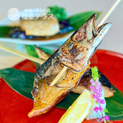 石巻金華山沖金華サバ一夜干し炙り(ハーフ) 