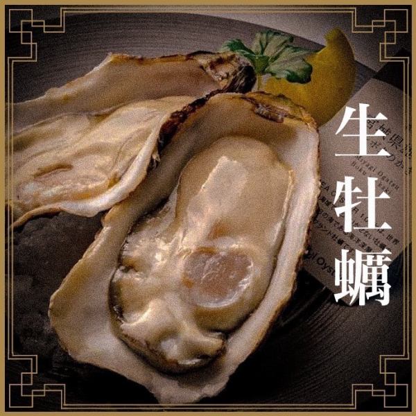厳選した食材や季節野菜、鮮魚を使用した料理が自慢～お客様に寄り添った、人と人を繋ぐネオ大衆酒場ポロ～
