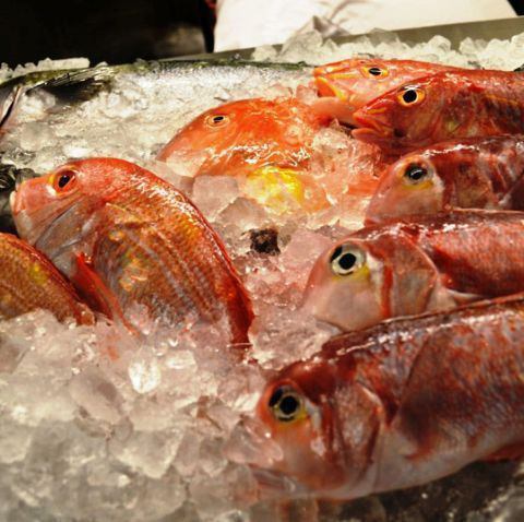 【漁港直送】新鮮魚介と地中海を感じさせる料理◆旬の魚貝を堪能