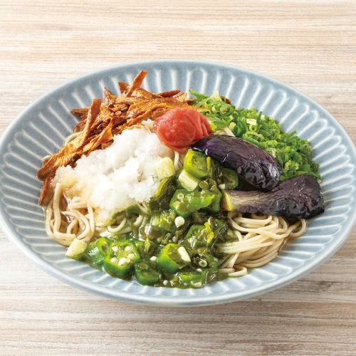 具だくさんなぶっかけ冷やし信州蕎麦