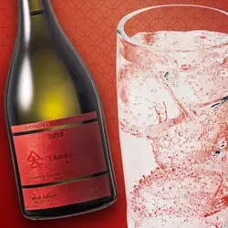 【鹿兒島燒酒高球雞尾酒 - 全部328日元（含稅）！ 】