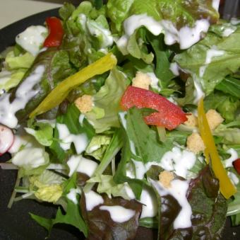 Caesar Salad / Japanese Salad / Jako Salad